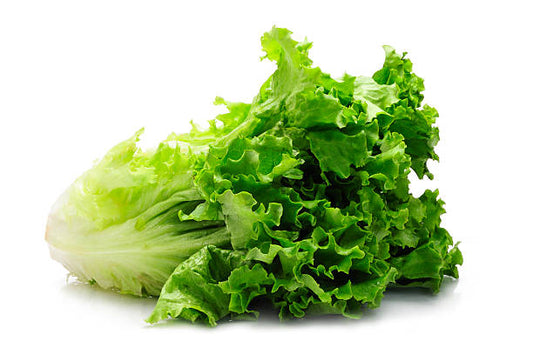 Looseleaf Lettuce